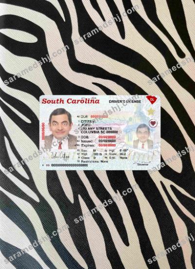 USA South Carolina state driving(2020 – present) photolook FRONT